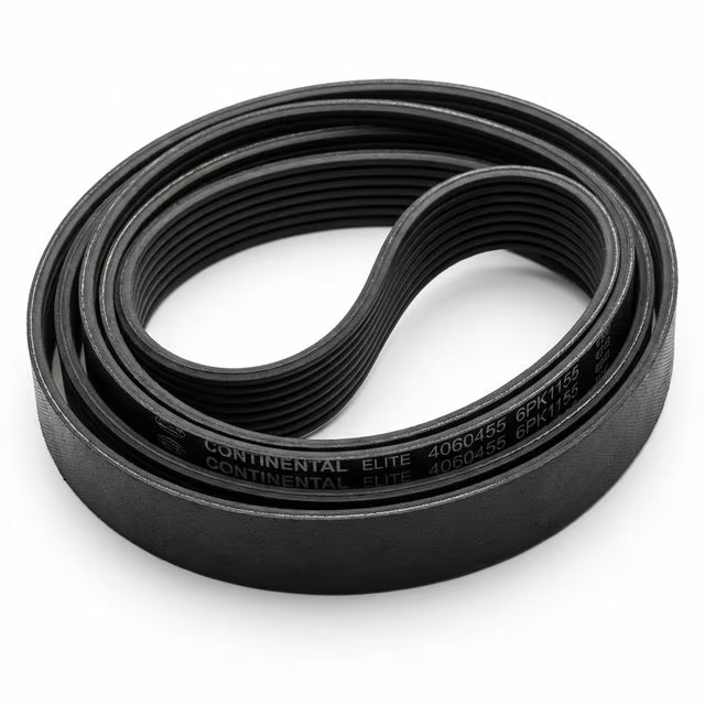 Dryer Belt